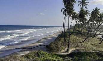Imagem 4: TERRENO NA LINHA VERDE *MASSARANDUPIÓ
