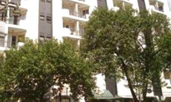 Imagem 4: MOEMA ROYAL LIGHT