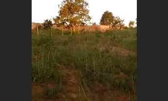 Imagem 4: UM LOTE 2700 m2 no Jardim Ingá