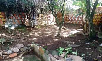 Imagem 3: Casa ampla e bem localizada na Santa Isabel