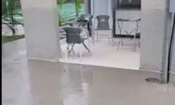 Imagem 2: Alugo excelente apartamento - Total Ville 9