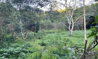 Imagem 4: Lotes de 2.000 m2