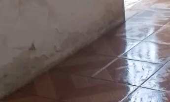 Imagem 2: Casa alugar 400 Casa com 1 dormitório