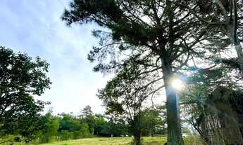 Imagem 2: CHÁCARA A 100 METROS DA RS020-PARCELO DIRETO