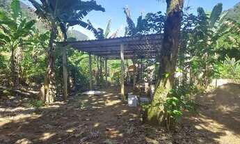 Imagem 2: Oportunidade terreno com fundos para o rio