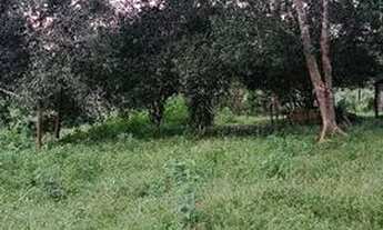 Imagem 2: Colônia Chácara com venda por R$350.000