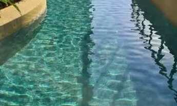 Imagem 4: São Paulo - Apartamento Padrão - Brás