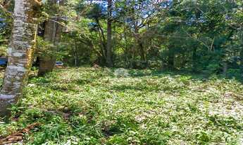 Imagem 4: Vendas Terreno São José Dos Pinhais PR