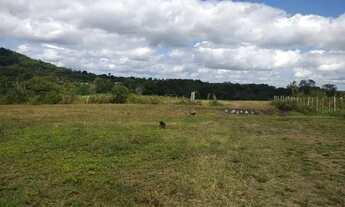 Imagem 2: Loteamento Chácara com venda por R$70.000