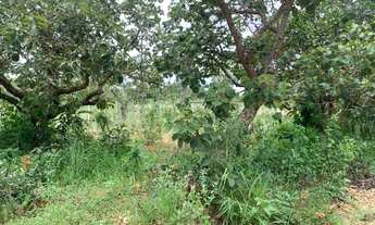 Imagem 7: Chácara de 2.218m² em chacreamento rural, com portaria, diversas câmeras de segurança, Jab