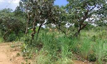 Imagem 4: Chácara de 2.218m² em chacreamento rural, com portaria, diversas câmeras de segurança, Jab