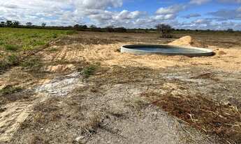 Imagem: Lote Agrícola com água para irrigação
