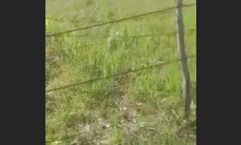 Imagem 3: Terreno na Taíba