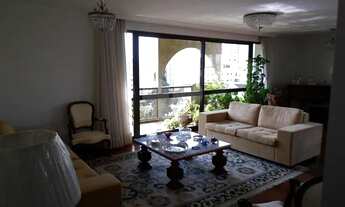 Imagem 7: PERDIZES- oportunidade