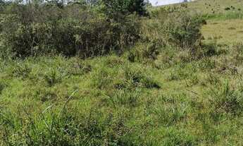 Imagem 2: Área industrial de 1.700 M2 R$ 200.000,00