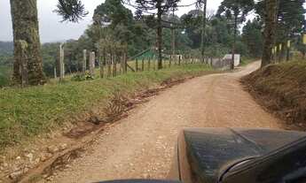 Imagem: Terreno área rural lugar denominado ressaca