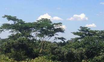 Imagem 3: Vende-se chácara 2,5 alqueires, 300 mts da cidade Dracena/Sp