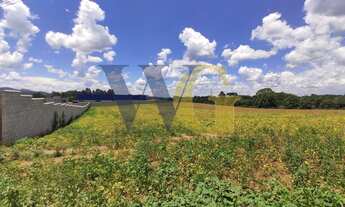 Imagem 6: Terreno para Venda em Campo Largo, Miqueleto