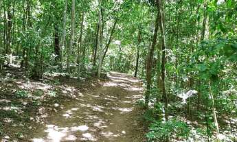 Imagem 6: FAZENDA CAPÃO DA ONÇA !