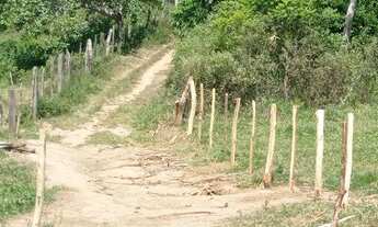 Imagem 6: Vendo ou troco por carro Sítio em Oliveira dos Campinhos