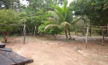 Imagem 4: Vendo fazenda em Santa Rita Tocantins 395 alq