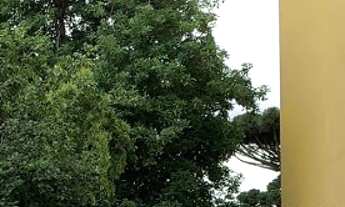 Imagem 7: Lote/Terreno estrutural, tem 585 metros quadrados em Água Verde - Curitiba - PR