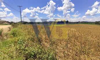 Imagem 3: Terreno para Venda em Campo Largo, Miqueleto