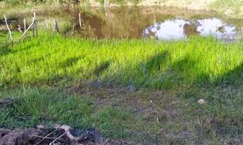 Imagem 5: Vendo excelente sitio Em saj