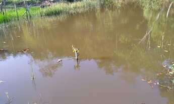 Imagem 3: Vendo excelente sitio Em saj