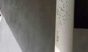 Imagem 3: Vendo excelente sitio Em jaguaripe