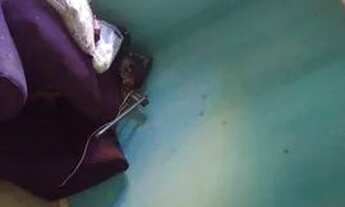 Imagem 5: Vendo casa em aguas lindas aceito carro como parte de pagamento