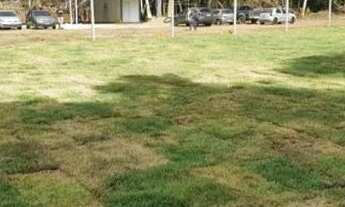 Imagem 3: Chácaras Maiápolis com portaria área de lazer completa transferência lote valor R$15 mil