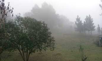 Imagem 6: EXCELENTE CHÁCARA EM CAMPO MAGRO