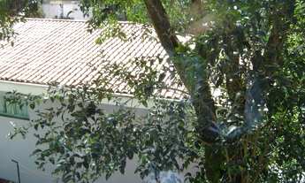 Imagem 6: Apto Aluga BNH 1 quarto em Alto de Pinheiros - São Paulo - SP