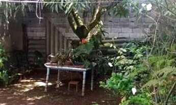 Imagem 5: São Paulo - Casa Padrão - Água Rasa