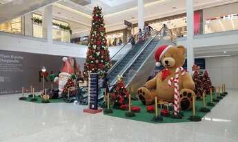 Imagem 7: Salas Centro, Shopping Pátio Petrópolis, aluguel e venda, vários tamanhos - Petrópolis - R