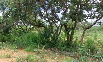 Imagem 5: Chácara de 2.218m² em chacreamento rural, com portaria, diversas câmeras de segurança, Jab