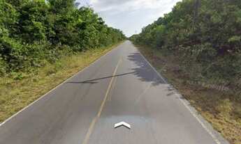 Imagem 2: Terreno em salvaterra PA 154 km06