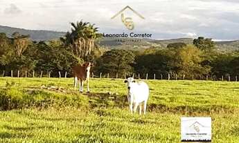 Imagem: Leonardo Corretor Vende 12 Hectare de R$