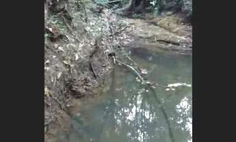 Imagem 6: Terreno Esmeralda Andiroba 10 mil mt²