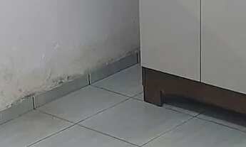 Imagem 5: Barracão barato