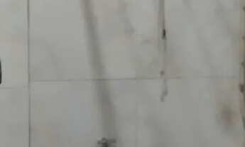 Imagem 12: Apartamento térreo