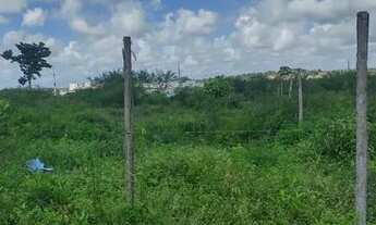 Imagem 2: Vendo terreno no Guajara