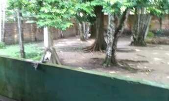 Imagem 6: Sítio para venda