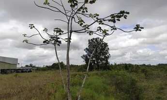 Imagem 5: Excelente Terreno no Polo Industrial Camaçari - Próximo da montadora chinesa BYD ( FORD