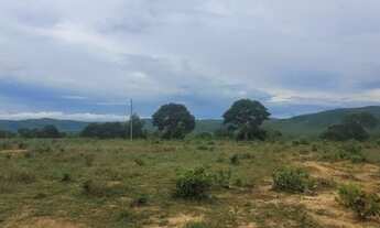 Imagem 6: Oportunidade <br>Excelente fazenda de dupla aptidão na Regiao de Cabeceiras-GO