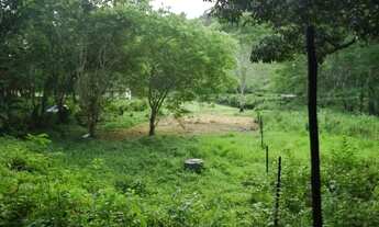 Imagem: Lotes de 2.000 m2