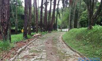 Imagem: AREA - TERRA PRETA - SP