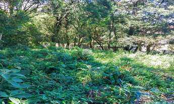 Imagem 7: Vendas Terreno São José Dos Pinhais PR