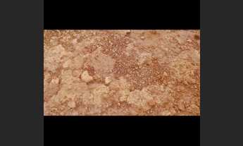 Imagem 5: Oportunidade <br>Excelente fazenda de dupla aptidão na Regiao de Cabeceiras-GO